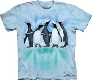 Футболка The Mountain -  Penguin Dye