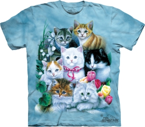 Футболка The Mountain -  Kittens