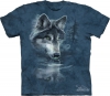 Wolf Reflection