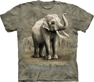 Футболка The Mountain -  Asian Elephants