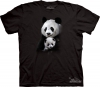 Panda Cuddle