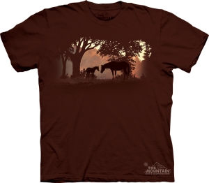 Футболка The Mountain -  Silhouette Sunset