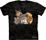 Top Cats