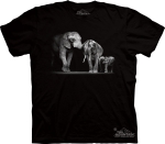 Elephant Family