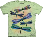 Dragonfly Dance