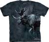 Moose