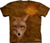 Coyote Sun