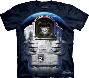 Футболка The Mountain -  Space Caesar