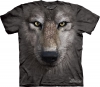 Wolf Face