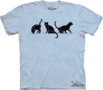 3 Black Cats