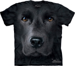 Black Lab Face