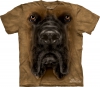 Mastiff Face