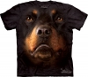 Rottweiler Face
