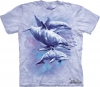 Dolphin Family