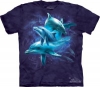 Dolphin Collage