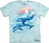 Dolphin Sunset