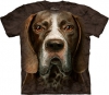 German Shorthaired Pointer Face