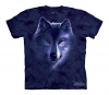 Wolf Fade - Детская