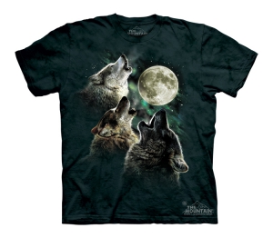 Футболка детская с коротким рукавом Three Wolf Moon - The Mountain