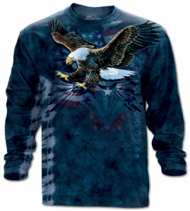 Реглан мужской с длинным рукавом American Independence