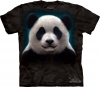 Panda Head