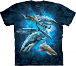 Shark Collage - Детская