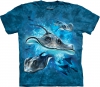Stingrays