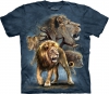 Lion Collage