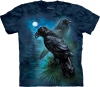 Ravens