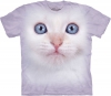White Kitten Face