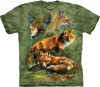 Red Fox Collage 