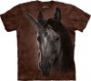Unicorn Stallion