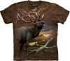 Elk at Dusk