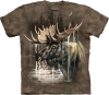 Moose Forest