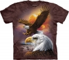 Eagle and Clouds