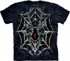 Tie Dye Spider