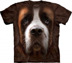 Saint Bernard Face