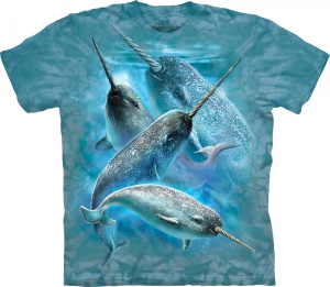 Футболка The Mountain  - Narwhals