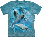 Narwhals