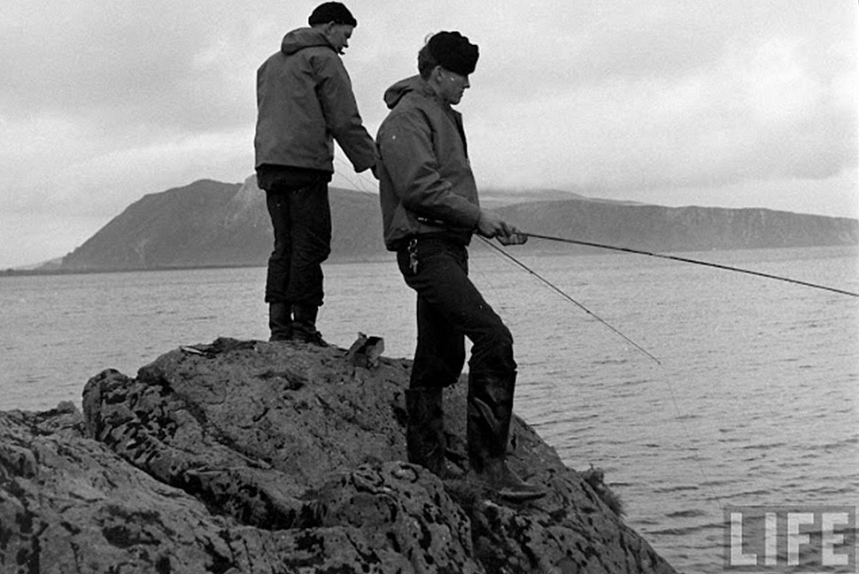 Теплые головные уборы: разные виды зимних шапок Теплые головные уборы: разные виды зимних шапок