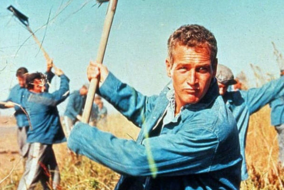 Cool Hand Luke. Изображение с Icepop. Cool Hand Luke. Изображение с Icepop.