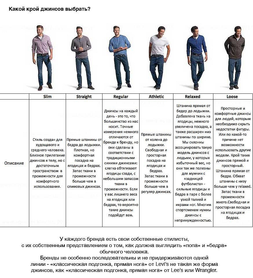 Формы члена бывают