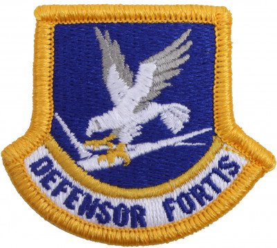 Флэш-эмблема Сил безопасности ВВС США для беретов Rothco US Air Force Flash Patch 3575, фото