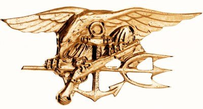 Квалификационный знак «Морские Котики США» Rothco U.S. Navy Seals Pin (1 шт) 1655, фото
