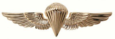 Знак парашютиста ВМФ США Rothco USN-USMC Parawing Pin (1 шт) 1652, фото