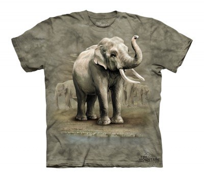 Футболка The Mountain Kids T-Shirt Asian Elephants 151868, фото