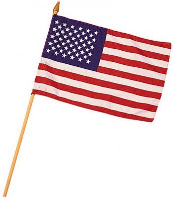 Флаг США сувенирный с древком 10x15см Rothco Mini American Flag 1443, фото
