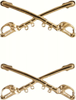 Золотые офицерские петлицы кавалерии США Rothco Officer's Cavalry Pin 1750, фото